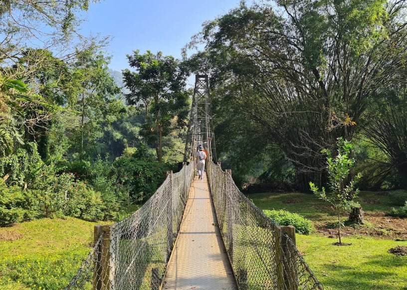 Royal Botanic Gardens, Peradeniya, Sri Lanka